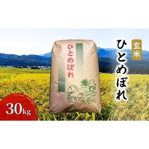 ふるさと納税 米 ひとめぼれ 秋田県 にかほ市 玄米 ひとめぼれ 30kg お米 米 こめ コメ 令和7年産 秋田県 にかほ市