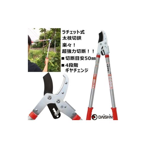 ふるさと納税 雑貨・日用品 兵庫県 小野市 大進 ラチェット式太枝切鋏 DG-3 4939736501979