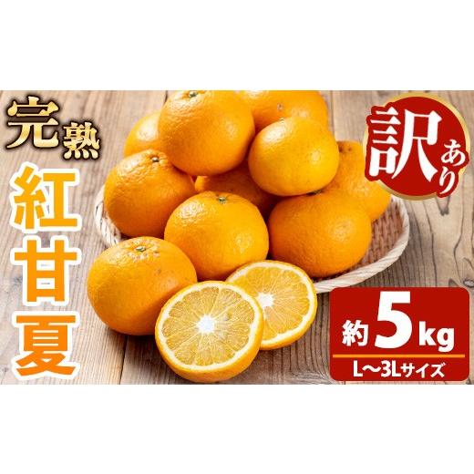 ふるさと納税 果物類 みかん 鹿児島県 いちき串木野市 新登場 訳アリ 大人な柑橘 完熟 紅甘夏 約5kg L〜3Lサイズ サイズ不揃い 満杯 箱詰め バラ詰め 池之上果…