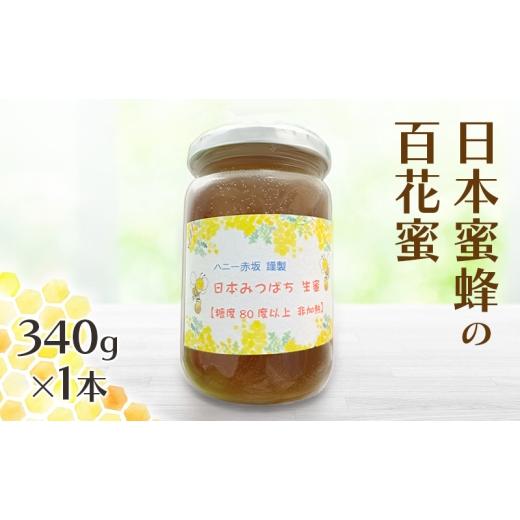 ふるさと納税 加工品等 はちみつ 福岡県 小郡市 はちみつ 日本蜜蜂の百花蜜 フルーティーな味 340g×1本