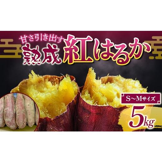 ふるさと納税 野菜類 サツマイモ 福島県 天栄村 甘さ引き出す 熟成紅はるか 5kg さつまいも S〜Mサイズ サツマイモ さつま芋 甘い おやつ 食品 F21T-471 S〜M…
