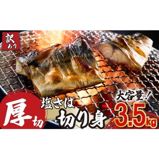 ふるさと納税 旬の鮮魚等 千葉県 銚子市 訳あり 厚切 塩さば 切り身 約 3.5kg 塩鯖 さば 鯖 厚切り 肉 厚 切身 フィレ フィーレ カット 大容量 国内加工 霜降…