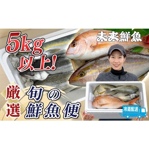 ふるさと納税 旬の鮮魚等 高知県 大月町 鮮魚 5kg〜 鮮魚ボックス 詰め合わせ 刺身 刺し身 さしみ 海鮮丼 寿司 鮮度抜群 産地直送 海の幸 海鮮 魚介 新鮮 厳選…