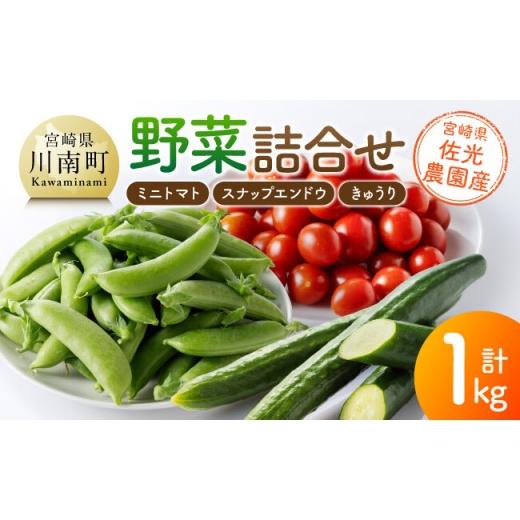 ふるさと納税 セット・詰合せ 宮崎県 川南町 宮崎県佐光農園産 野菜詰め合わせ(ミニトマト・スナップエンドウ・きゅうり)計1kg ミニトマト スナップエンド…