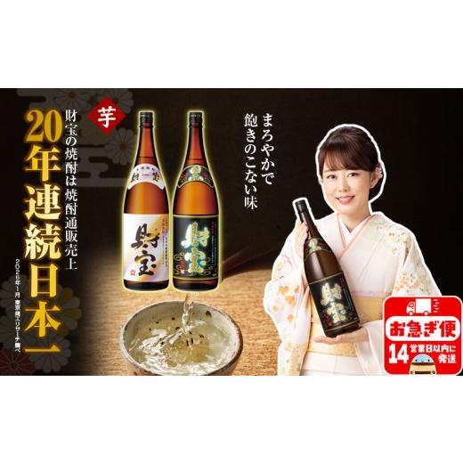 ふるさと納税 焼酎 いも 鹿児島県 垂水市 A1-22556/ 芋焼酎 一升瓶 2種2本 温泉水 財宝 鹿児島 焼酎 お酒