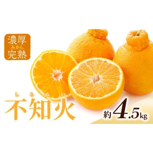 ふるさと納税 果物類 みかん 静岡県 森町 濃厚・完熟 みかん「不知火」A品(ちょいきず) 果物 フルーツ 柑橘 ミカン デコポン 甘い デザート ビタミン 家庭用…