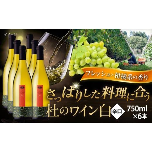ふるさと納税 ワイン 白ワイン 島根県 雲南市 杜のワイン白 6本セット 白ワイン 辛口 お酒 セット ぶどう 島根県雲南市/有限会社奥出雲葡萄園