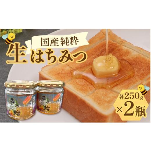 ふるさと納税 加工品等 はちみつ 滋賀県 多賀町 先行予約 期間限定 国産純粋生はちみつ C-03001 |はちみつ