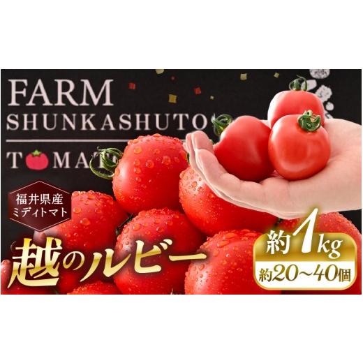 ふるさと納税 野菜類 トマト 福井県 坂井市 先行予約 福井県坂井市産 ミディトマト 越のルビー 1kg (約20〜40個) 農家直送 2026年10月中旬以降順次発送予定 …