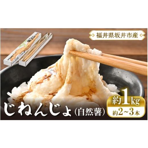 ふるさと納税 人参・大根・他根菜 福井県 坂井市 先行予約 福井県坂井市産 自然薯 1kg (2〜3本) 農家直送 2026年12月中旬以降順次発送予定 じねんじょ とろろ…