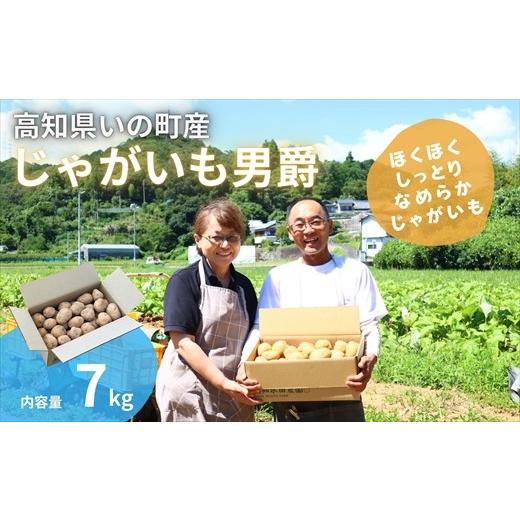ふるさと納税 野菜類 じゃがいも 高知県 いの町 高知水田農園 じゃがいも(男爵)7kg