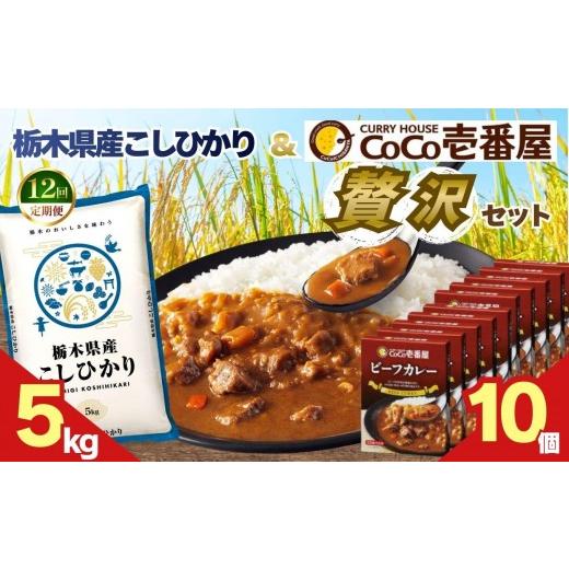 ふるさと納税 加工品等 レトルト 栃木県 矢板市 定期便12回 ココイチ ビーフカレー10個 &amp;コシヒカリ5kgの贅沢セット 定期便12回 コシヒカリ5kg × ビーフ…