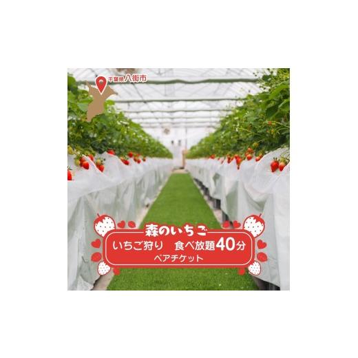 ふるさと納税 いちご 千葉県 八街市 八街 森のいちごファームのいちご狩り 40分食べ放題 ペアチケット いちご イチゴ 苺 いちご狩り