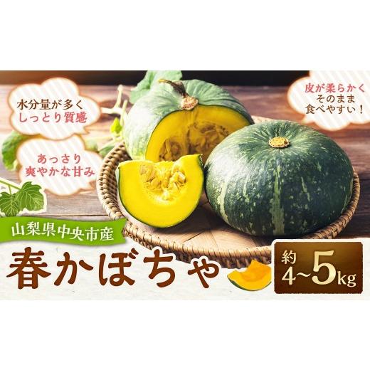 ふるさと納税 野菜類 山梨県 中央市 先行受付 山梨県中央市産 春かぼちゃ 約4〜5kg かぼちゃ 南瓜 カボチャ 野菜 山梨県 中央市 2026年6月上旬〜8月上旬発送…