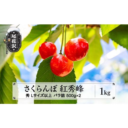 ふるさと納税 果物類 さくらんぼ 山形県 尾花沢市 先行予約 さくらんぼ 紅秀峰 1kg(500g×2) Lサイズ以上 秀品 山形県産 バラ詰 令和8年産 2026年産 sb-bsslx1…