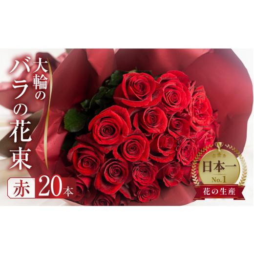 ふるさと納税 雑貨・日用品 花 愛知県 田原市 母の日遅れてごめんね バラ 花束 大輪 赤 29本 (40cm) ブーケ 薔薇 ローズ 生花 プレゼント 花 ギフト 植物 フ…