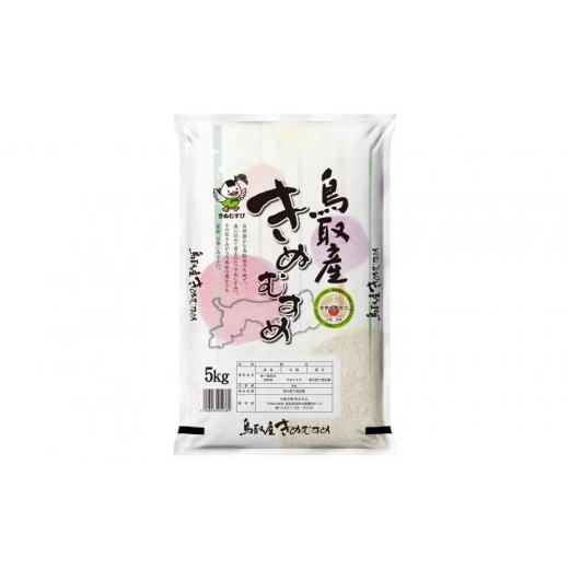 ふるさと納税 米 きぬむすめ 鳥取県 北栄町 鳥取のお米 きぬむすめ 5kg 精米