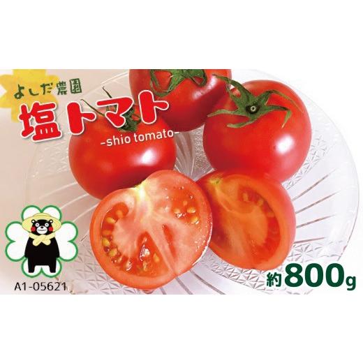 ふるさと納税 野菜類 トマト 熊本県 玉名市 『 よしだ農園 』 塩トマト 約800g| 野菜 やさい 塩トマト トマト とまと トマトベリー 人気 熊本県 玉名市 約800…
