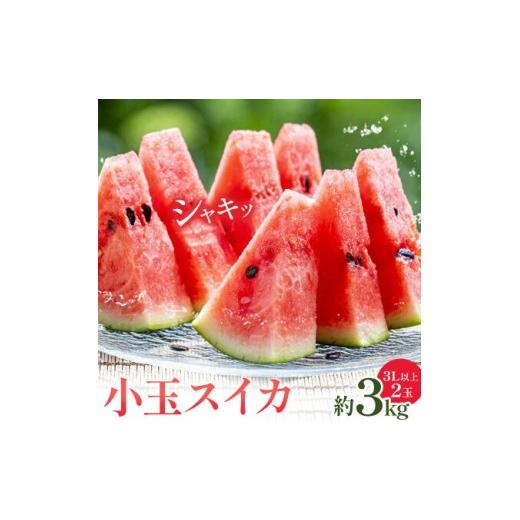 ふるさと納税 スイカ 熊本県 菊池市 小玉スイカ 3L以上 2玉 計約3kg 株式会社エフビーネット[5月上旬-7月中旬頃出荷]熊本県 菊池市 小玉すいか すいか スイ…