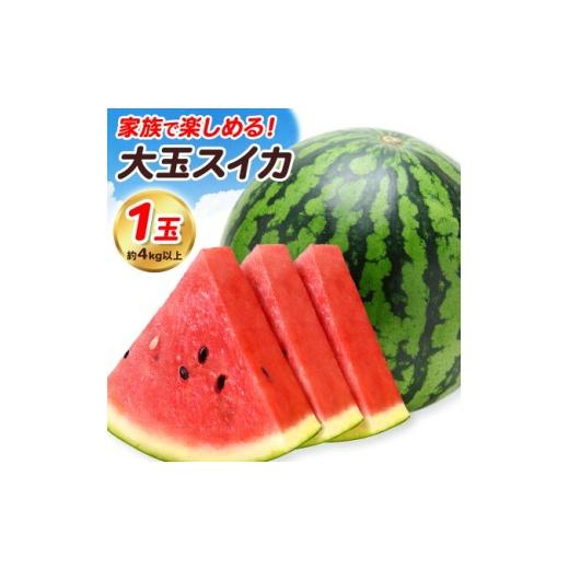 ふるさと納税 スイカ 熊本県 菊池市 先行予約 大玉すいか 1玉 約4kg 株式会社エフビーネット[5月上旬-7月中旬頃出荷]熊本県 菊池市 すいか スイカ 大玉 熊…