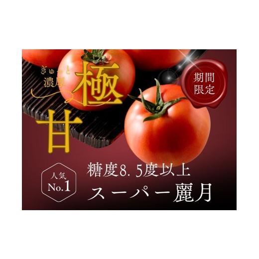 ふるさと納税 野菜類 トマト 宮城県 大崎市 糖度8.5度以上 スーパー麗月トマト 1kg|冬期育ちの濃厚な甘み・産地直送の完熟トマト