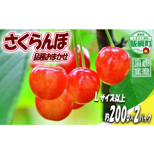 ふるさと納税 果物類 さくらんぼ 長野県 飯綱町 Lサイズ以上 冷蔵便 朝採り 当日発送 さくらんぼ Lサイズ以上 200g × 2パック ( 品種おまかせ ) 配送先は…