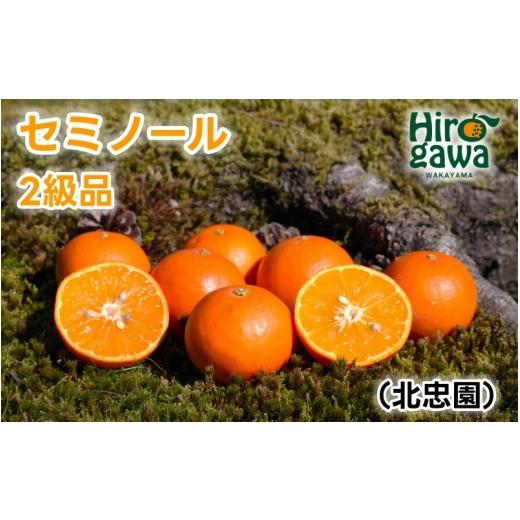 ふるさと納税 果物類 みかん 和歌山県 広川町 セミノール 5kg 2級品 / 和歌山 有田 広川 みかん ミカン 柑橘 果物 くだもの ギフト フルーツ 果実 2026年4月…