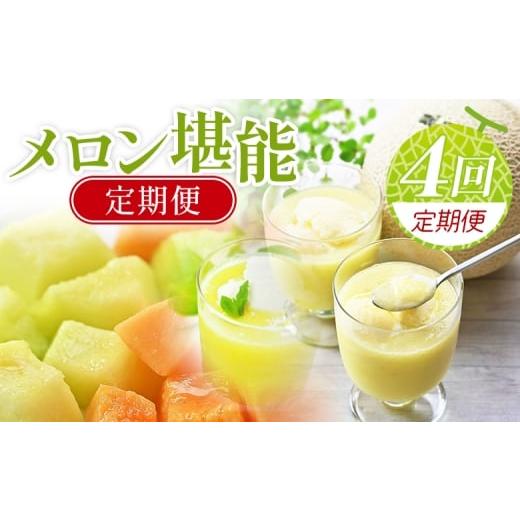 ふるさと納税 メロン メロン青肉 高知県 香南市 4回定期便 メロン堪能定期便 国産 マスクメロン 完熟 青肉 赤肉 家庭用 フルーツ 果物 ピューレ シャーベッ…