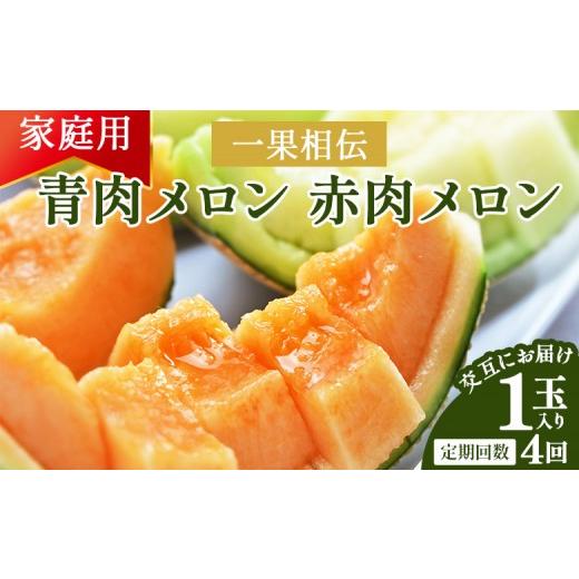 ふるさと納税 メロン メロン青肉 高知県 香南市 4回定期便 メロン 食べ比べ 一果相伝 青肉メロン 赤肉メロン 家庭用 1玉 交互にお届け - 訳あり メロン ます…