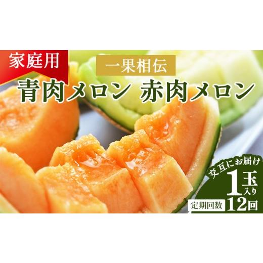 ふるさと納税 メロン メロン赤肉 高知県 香南市 12回定期便 メロン 定期便 一果相伝 青肉メロン 赤肉メロン 家庭用 1玉 交互にお届け - 定期便 果物 フルーツ…