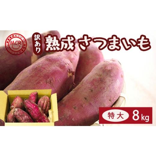 ふるさと納税 野菜類 サツマイモ 京都府 舞鶴市 1月以降発送 訳あり 舞鶴産 熟成さつまいも 8kg (紅はるか) 特大 | べにはるか サツマイモ 薩摩芋 特大さつ…