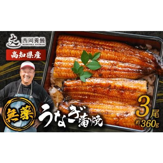 ふるさと納税 川魚 高知県 安芸市 国産 うなぎ 蒲焼 3尾 約360g 国産 うなぎ 鰻 ウナギ 蒲焼 うなぎ 蒲焼き うなぎ タレ 山椒 付き うなぎ ウナギ 鰻 冷凍 鰻 …
