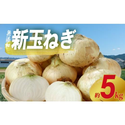 ふるさと納税 野菜類 玉ねぎ 千葉県 銚子市 先行予約 玉ねぎ 約5kg 新玉ねぎ サイズ不揃い 期間限定 オニオン 玉葱 たまねぎ 国産 銚子産 産地直送 野菜 春野…