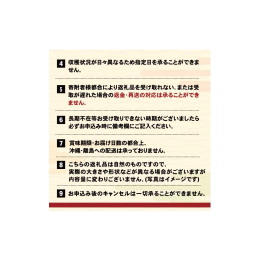 ふるさと納税 ウニ 岩手県 大船渡市 2026年 先行予約 牛乳瓶 生うに 240g (120g×2本) うに 冷蔵 保存料無添加 ミョウバン不使用 ウニ 雲丹 ご飯 丼 海鮮丼 …_7