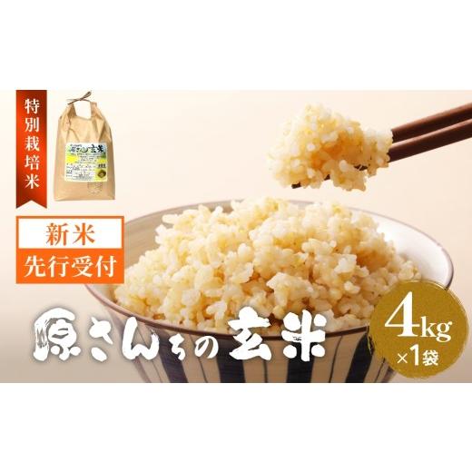 ふるさと納税 米 ひとめぼれ 大分県 玖珠町 令和8年産米先行受付 原さんちのお米 玄米 4kg ひとめぼれ 米 お米 こめ コメ ご飯 ヒトメボレ 常温 大分県 大分…