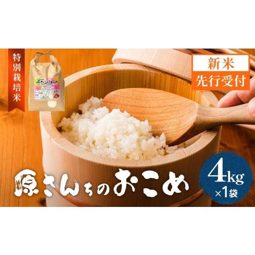 ふるさと納税 米 ヒノヒカリ 大分県 玖珠町 令和8年産米先行受付 原さんちのお米 白米 4kg ひのひかり 米 お米 こめ コメ ご飯 ヒノヒカリ 常温 大分県 大分…