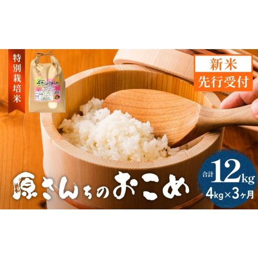 ふるさと納税 米 にこまる 大分県 玖珠町 令和8年産米先行受付 原さんちのお米 白米 4kg にこまる 3回定期便 米 お米 こめ コメ 定期 定期便 ご飯 ニコマル …