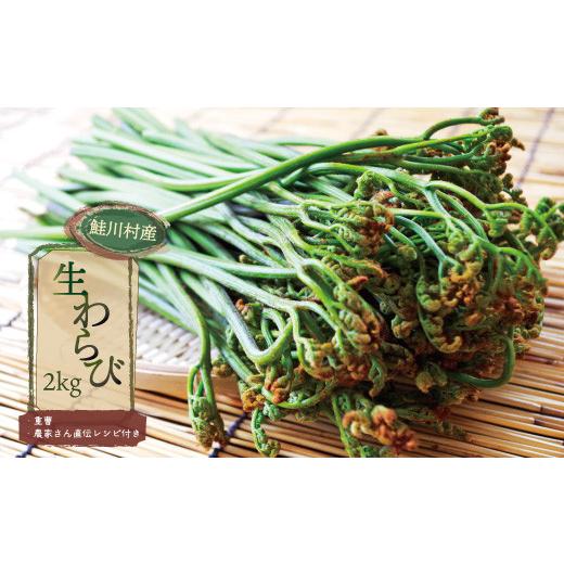 ふるさと納税 野菜類 山菜 山形県 鮭川村 鮭川村産 生わらび2kg (重曹・農家さん直伝レシピ付き)