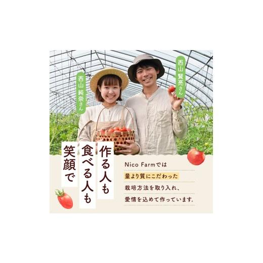 ふるさと納税 果汁飲料 トマト 北海道 余市町  定期便全6回 NicoFarm トマトジュース 180ml 30本×6回 180ml 30本×6回の画像