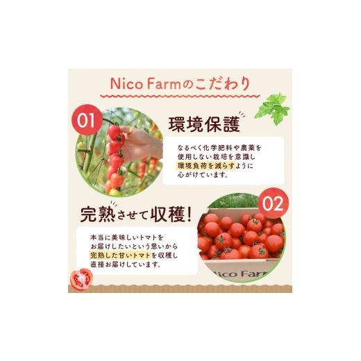 ふるさと納税 果汁飲料 トマト 北海道 余市町  定期便全6回 NicoFarm トマトジュース 180ml 30本×6回 180ml 30本×6回の画像