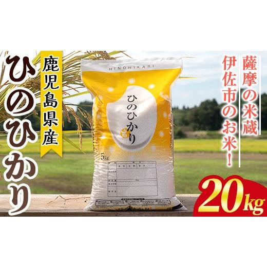 ふるさと納税 米 鹿児島県 伊佐市 isa869 鹿児島県産ひのひかり(20kg) 国産 鹿児島県 米 お米 白米 伊佐米 赤崎農園
