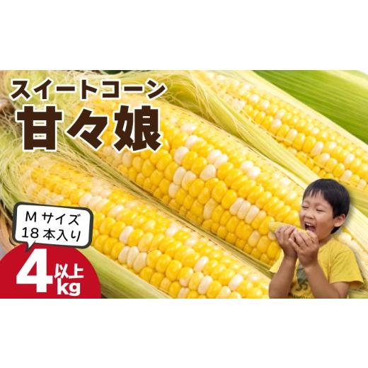 ふるさと納税 とうもろこし 徳島県 吉野川市 とうもろこし 甘々娘 4kg以上 Mサイズ 18本 [ 2026年6月発送 ] スイートコーン かんかん娘 冷蔵 コーン 野菜 や…
