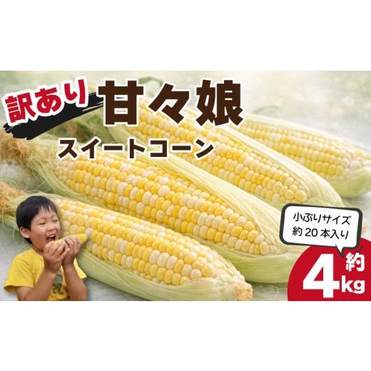 ふるさと納税 とうもろこし 徳島県 吉野川市 訳あり とうもろこし 甘々娘 4kg 20本 小ぶり Sサイズ 規格外 サイズ混合 [ 2026年6月発送 ] スイートコーン か…