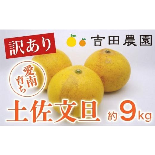 ふるさと納税 みかん・柑橘類 愛媛県 愛南町 数量限定 訳あり 土佐文旦 9kg 10000円 みかん 文旦 ぶんたん 国産 家庭用 産地直送 農家直送 期間限定 ビタミン …