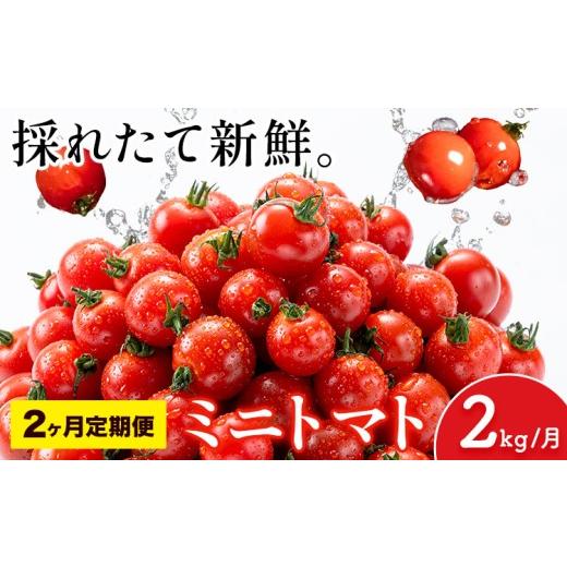 ふるさと納税 トマト ミニトマト 熊本県 長洲町 2ヶ月定期便 ミニトマト とれたてミニトマト 2kg/月×2回 トマト 野菜 サラダ ダイエット おやつ パスタ マ…