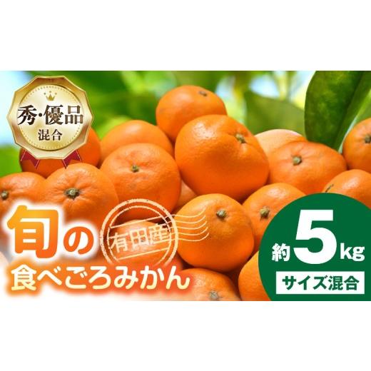 ふるさと納税 果物類 みかん 和歌山県 湯浅町 ZD92075_ 2026年先行予約 有田みかん サイズ混合 内容量 約 5kg 和歌山県産 国産 みかん 食べごろ 旬 混合規格 …