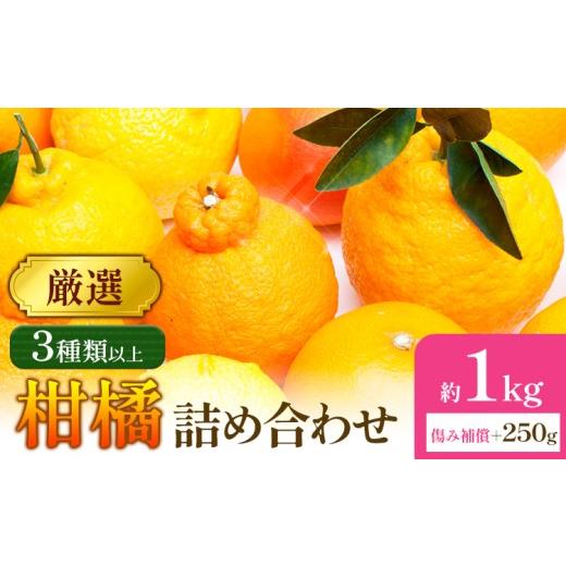 ふるさと納税 みかん・柑橘類 和歌山県 日高町 厳選 柑橘詰合せ 約1kg+250g (傷み補償分) 3種類以上 有田の春みかん詰め合わせ 光センサー選別 池田鹿蔵農園 …