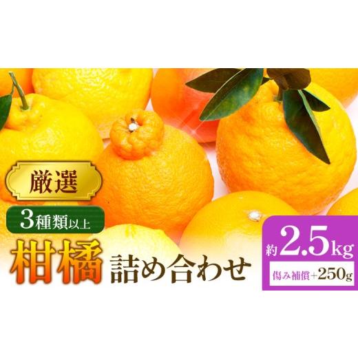 ふるさと納税 みかん・柑橘類 和歌山県 日高町 厳選 柑橘詰合せ 約2.5kg+250g (傷み補償分) 3種類以上 有田の春みかん詰め合わせ 光センサー選別 池田鹿蔵農…