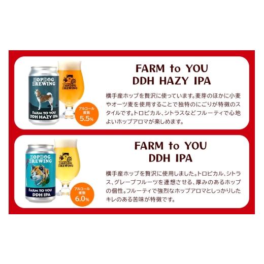 ふるさと納税 ビール 地ビール 秋田県 秋田市 《定期便6ヶ月》 できたて直送 HOPDOG BREWING 秋田の素材を活かしたクラフトビール・ハードサイダー 毎月5本セ…の画像