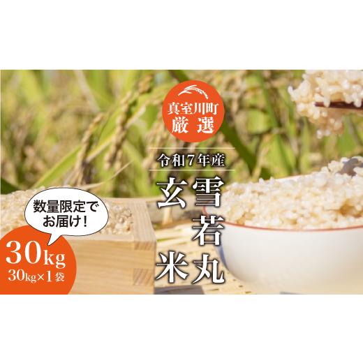 ふるさと納税 玄米 山形県 真室川町 令和7年産 雪若丸 玄米 30kg (30kg×1袋) 配送時期指定可 数量限定 真室川町